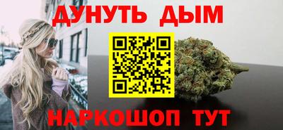 сатива Славгород