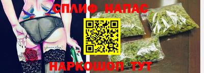 сатива Славгород