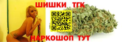 сатива Славгород