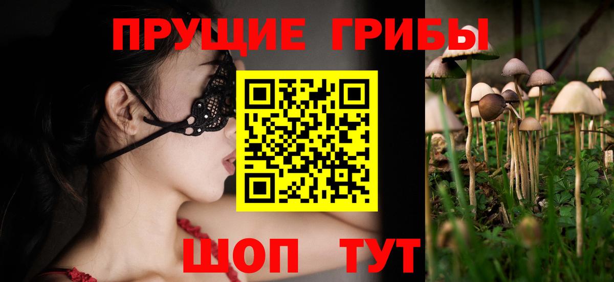 Сердобск  Галлюциногенные грибы прущие грибы  Вход с VPN 
